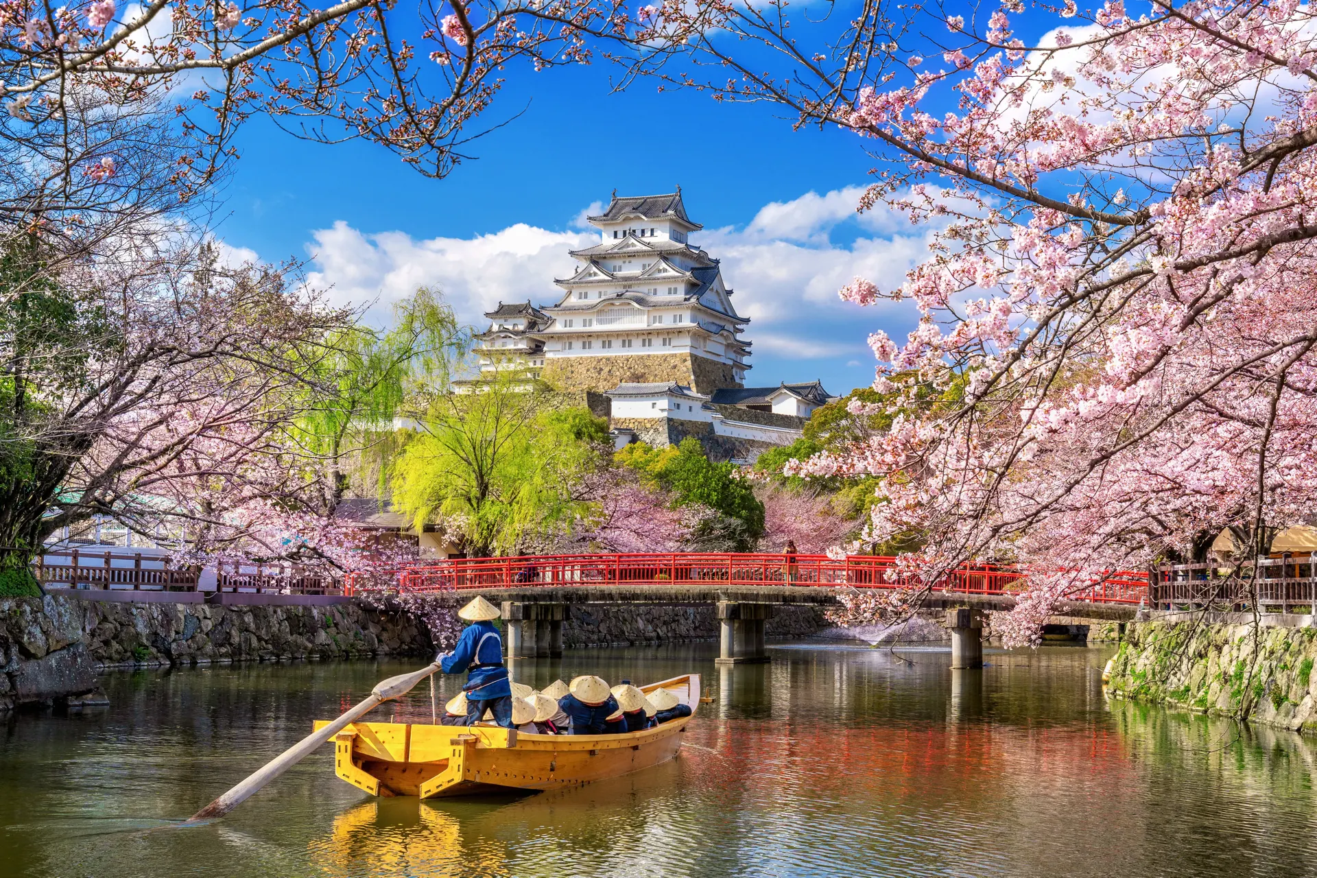 Himeji Castle with cherry blossoms in Japan